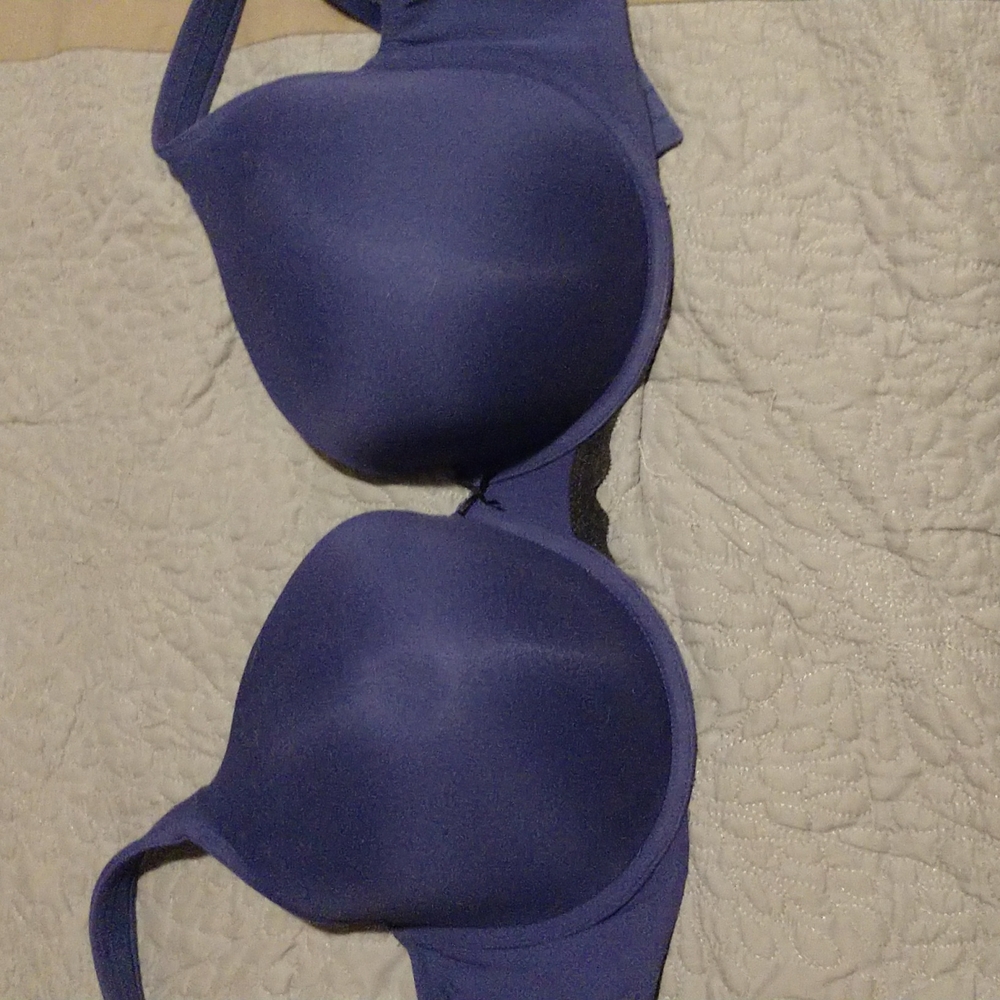 Cacique Deep Blue T-Shirt Bra